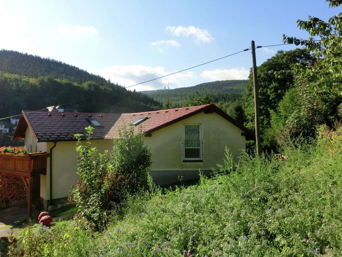 Cottage Near A Ski Resort Winterstein Екстер'єр фото