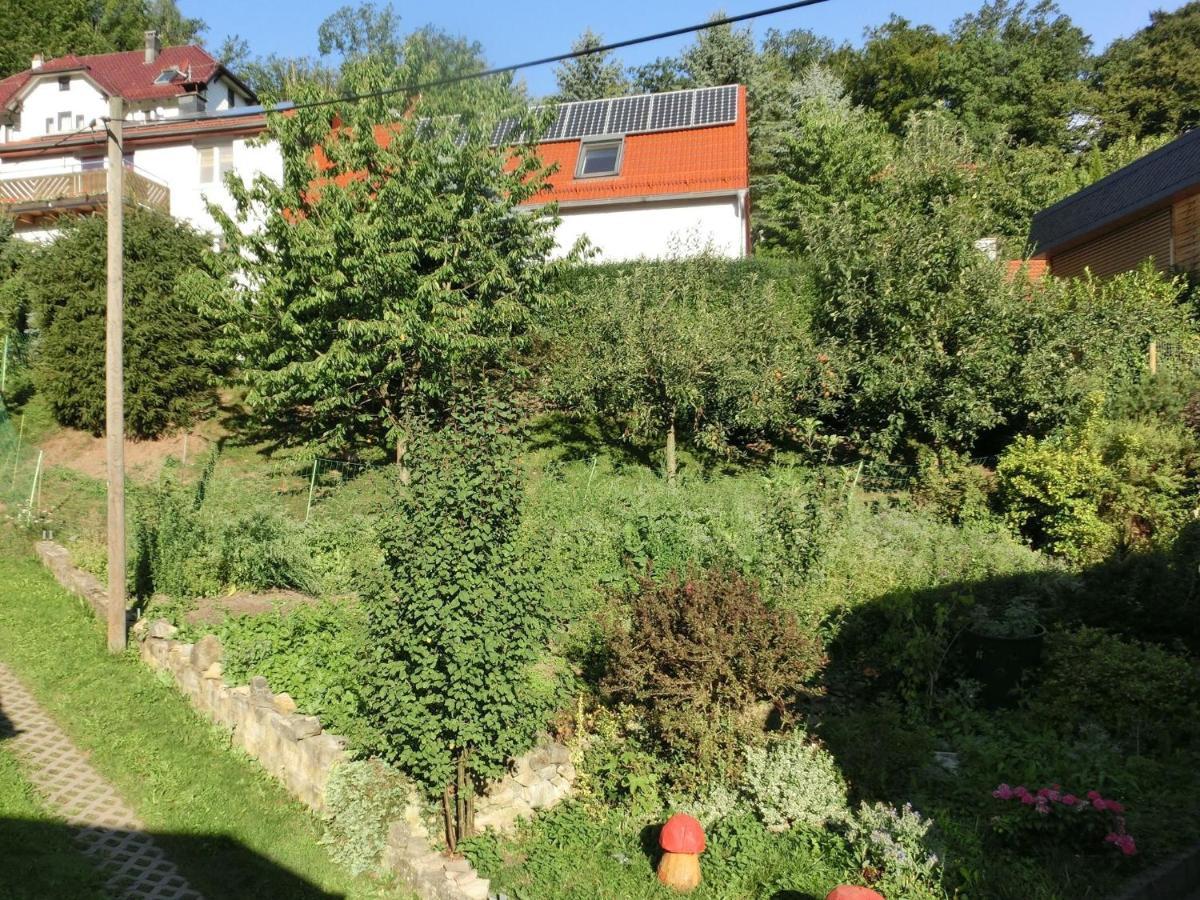 Cottage Near A Ski Resort Winterstein Екстер'єр фото